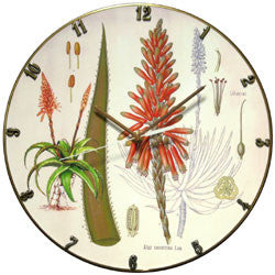 B14 Aloe Botanical Record Clock