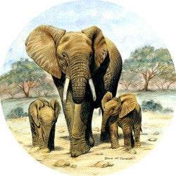 O27 Elephants Fridge Magnet