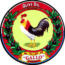 N06 Gallo Olive Oil Fridge Magnet