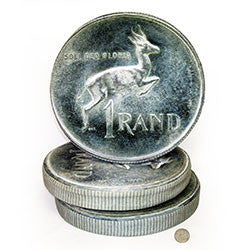 G13 One Rand Coin Cushion