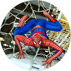 R02 Spiderman Fridge Magnet